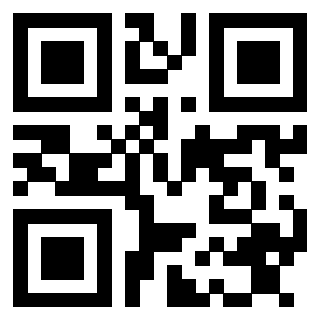 Il Qr Code di 3913476866