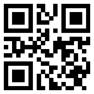 Il Qr Code di 3913476873