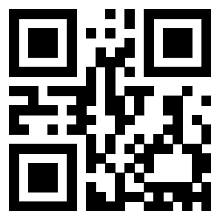 Il Qr Code di 3913476961