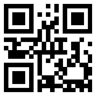 Il Qr Code di 3913476987