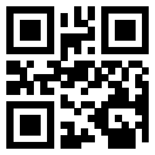 Il Qr Code di 3913477055