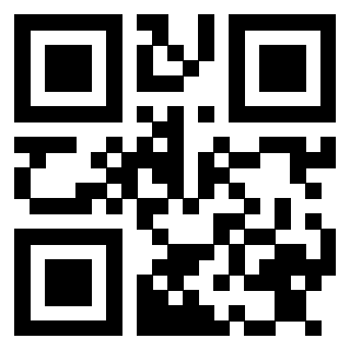 Il Qr Code di 3913477249