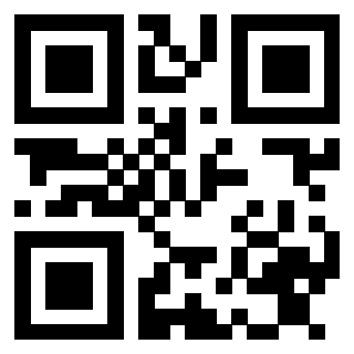 3913477333 QrCode associato