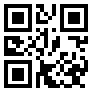 Il Qr Code di 3913477471