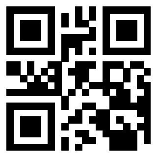 Il Qr Code di 3913477571