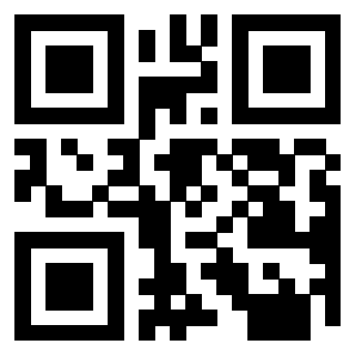 Il Qr Code di 3913477608