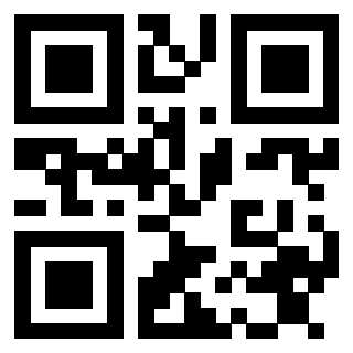 Il Qr Code di 3913477706