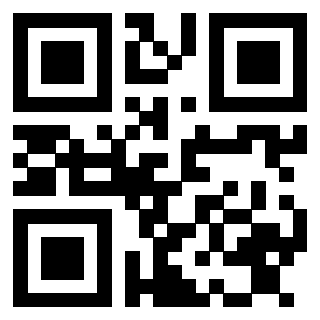 Il Qr Code di 3913477889