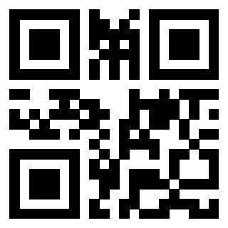 Il Qr Code di 3913477904