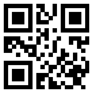 Il Qr Code di 3913477929
