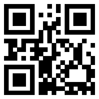 Il Qr Code di 3913478031