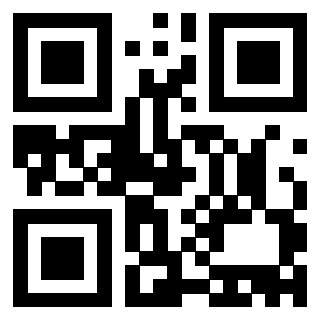 Il Qr Code di 3913478061