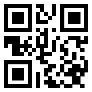 3913478063 Qr Code associato