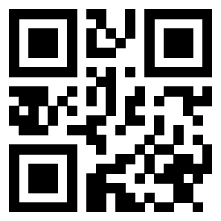 Il Qr Code di 3913478131