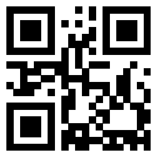 Il Qr Code di 3913478405