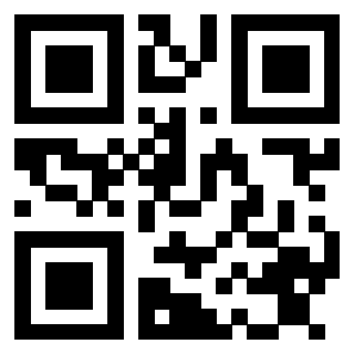 Il Qr Code di 3913478520