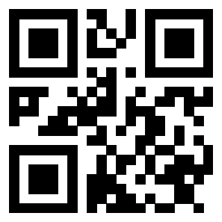Il Qr Code di 3913478619