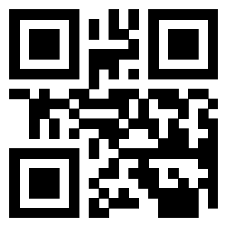 Il Qr Code di 3913478626