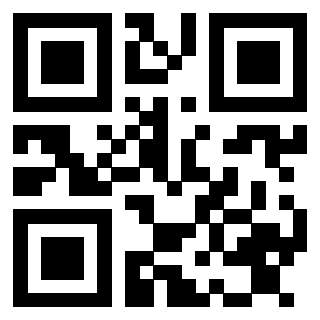 Il Qr Code di 3913478639