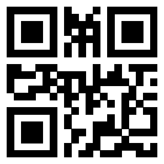 Il Qr Code di 3913483459