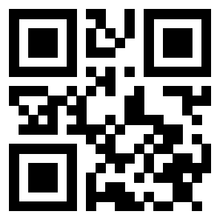 Il Qr Code di 3913483481