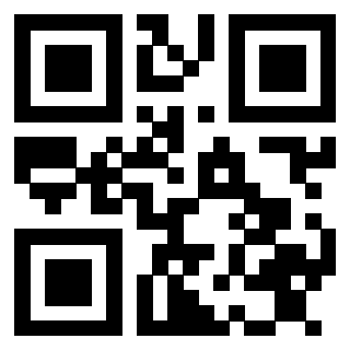 Il Qr Code di 3913483533