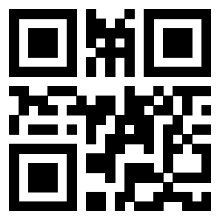 Il Qr Code di 3913483604