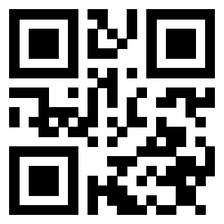 Il Qr Code di 3913483624