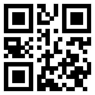 Il Qr Code di 3913483625