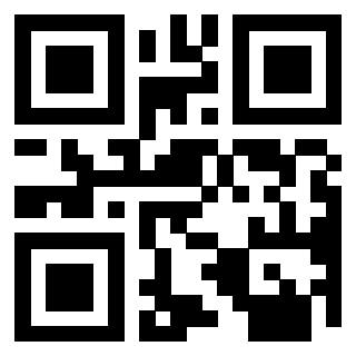 Il Qr Code di 3913483651