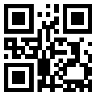 Il Qr Code di 3913483671