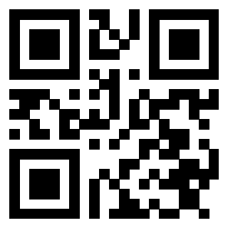 Il Qr Code di 3913483758
