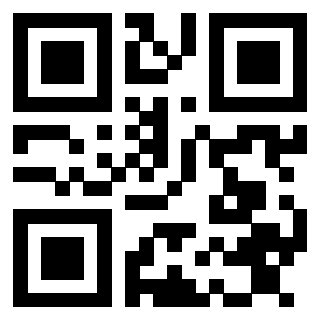 Il Qr Code di 3913483776