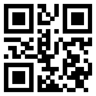 Il Qr Code di 3913483777