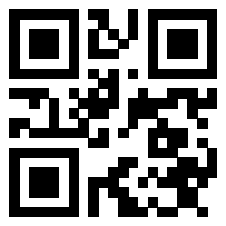 Il Qr Code di 3913483836