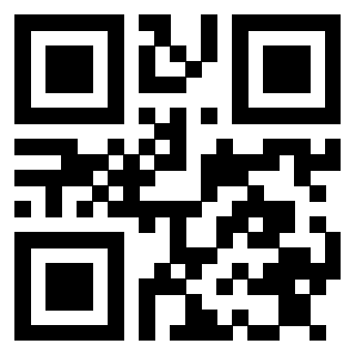 Il Qr Code di 3913483838