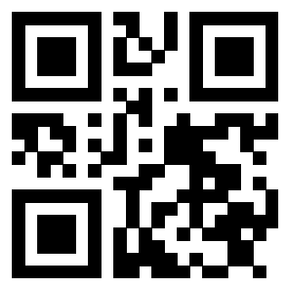 Il Qr Code di 3913483855