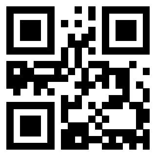 Il Qr Code di 3913483878
