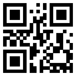 Il Qr Code di 3913483955