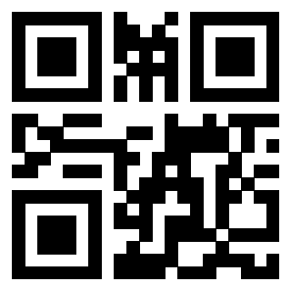 Il Qr Code di 3913483967