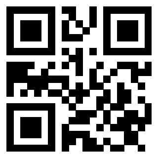 Il Qr Code di 3913484019