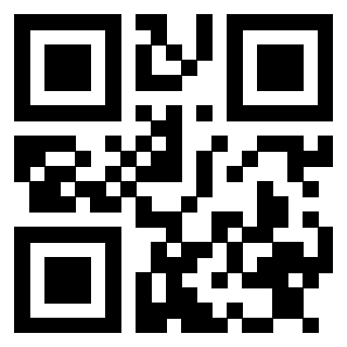 Il Qr Code di 3913484029