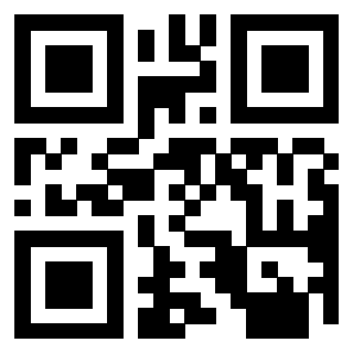 Il Qr Code di 3913484033