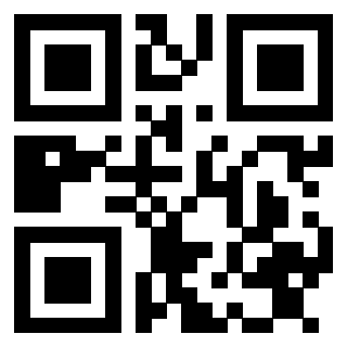 Il Qr Code di 3913484053