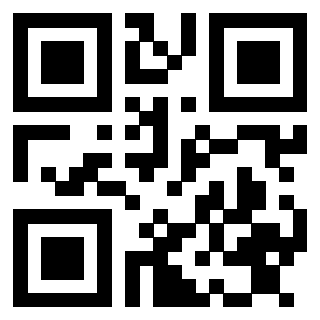 Il Qr Code di 3913484219