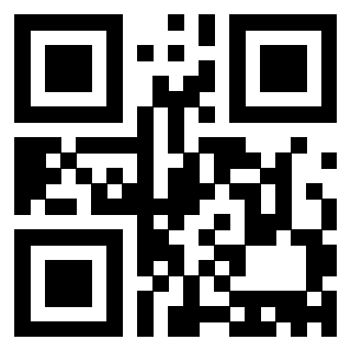 3913484255 QrCode associato