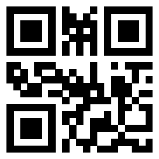 Il Qr Code di 3913484291