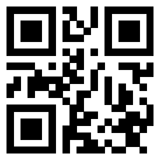Il Qr Code di 3913484302
