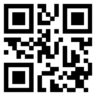 Il Qr Code di 3913484306