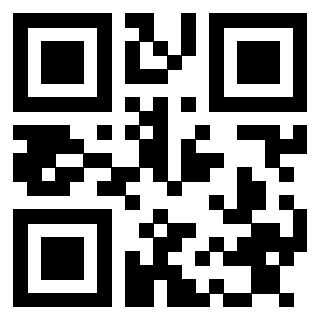 Il Qr Code di 3913484312